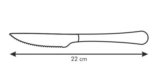 Steakový nůž CLASSIC, 2 ks